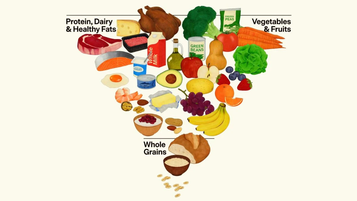 New proposed USDA Food Pyramid from 2025